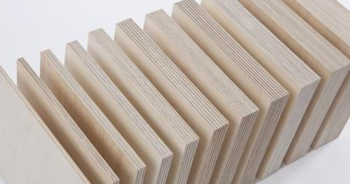 IBuilt Birch Plywood by New Zealand Wood Products Ltd. EBOSS