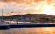 whitianga pool fence