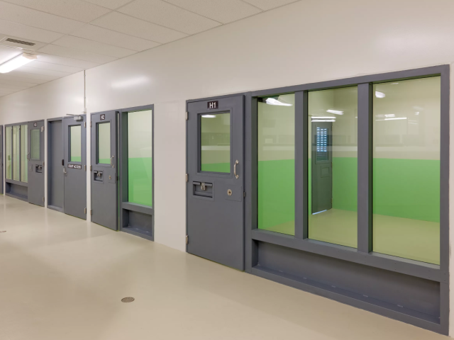 Pacific SPS1-FR Custodial Fire Door