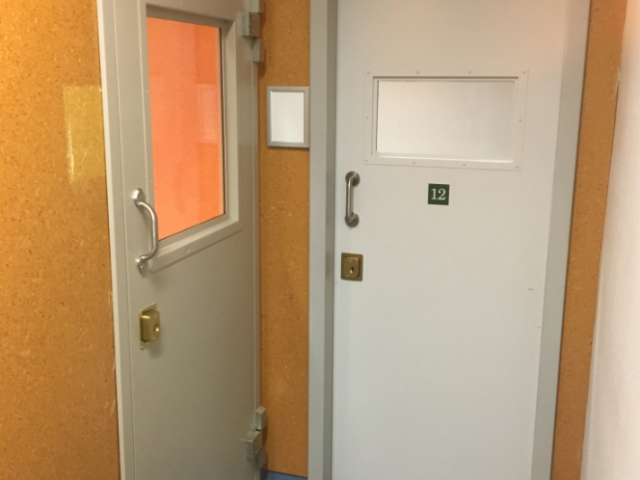Pacific SPS3 Reinforced Security Door