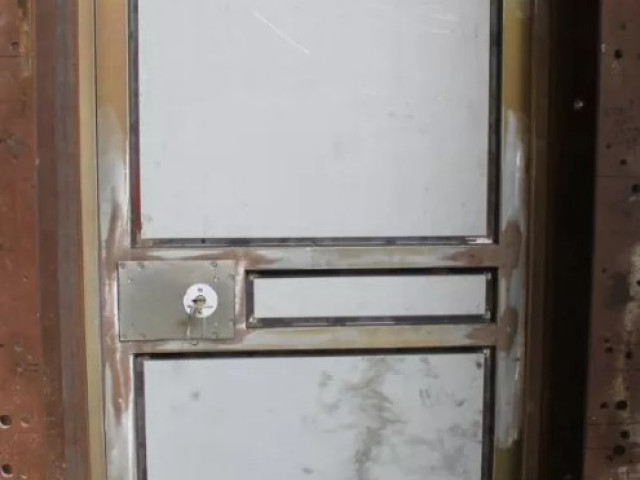 Pacific Presto Security Door