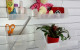 Plankwall homestorage storboxes