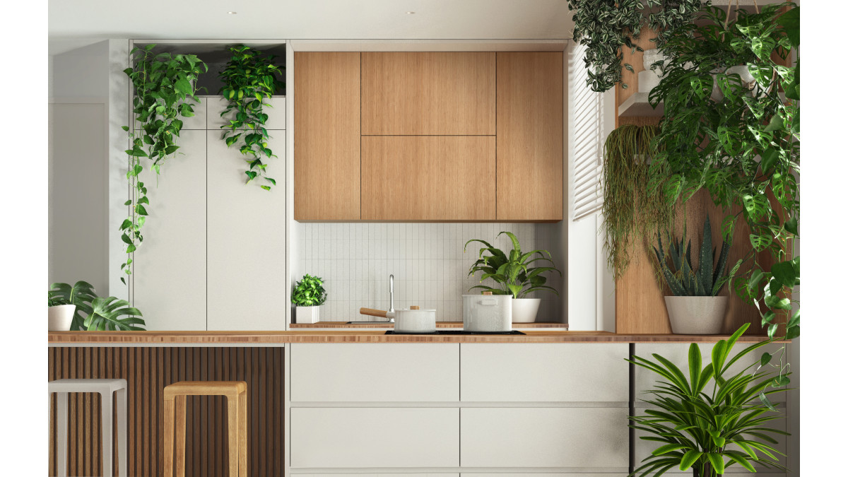 Bamboo Coffee bamboo kitchen plywood render