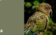 Create HPL Kea swatch