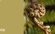 Create HPL Koru swatch