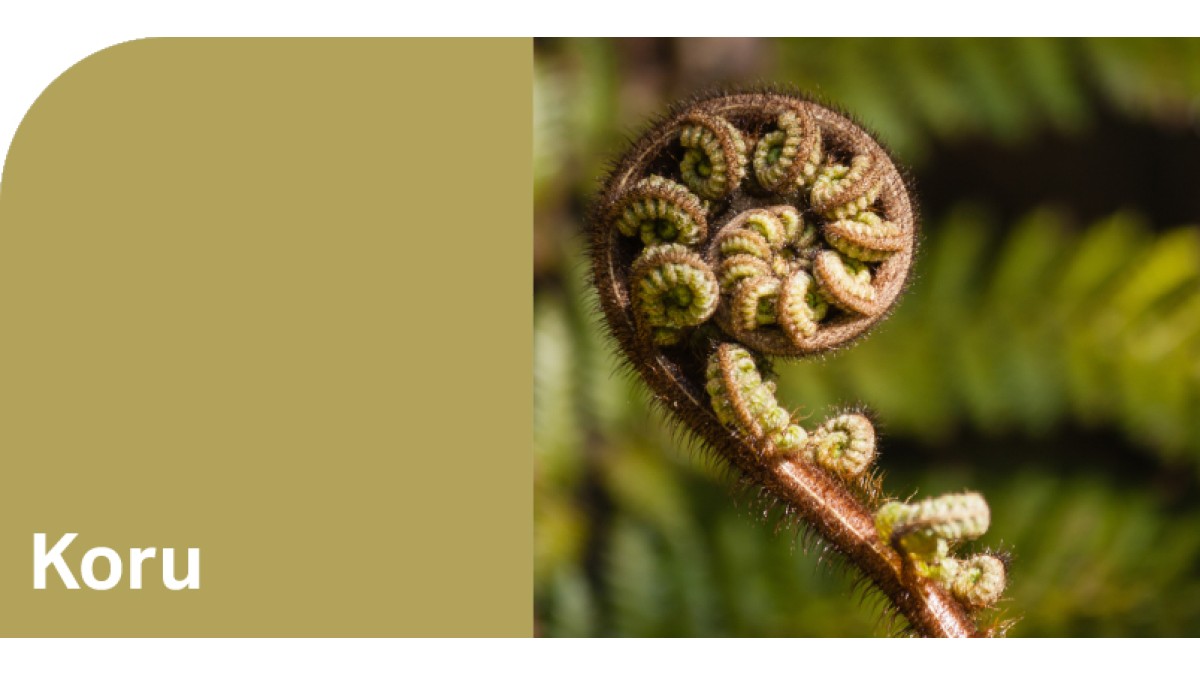 Create HPL Koru swatch