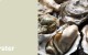 Create HPL Oyster swatch