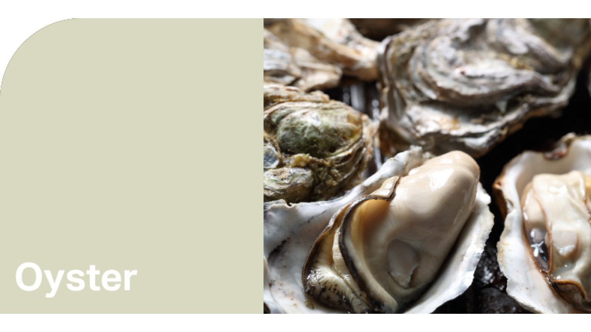 Create HPL Oyster swatch