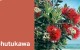 Create HPL Pohutukawa swatch