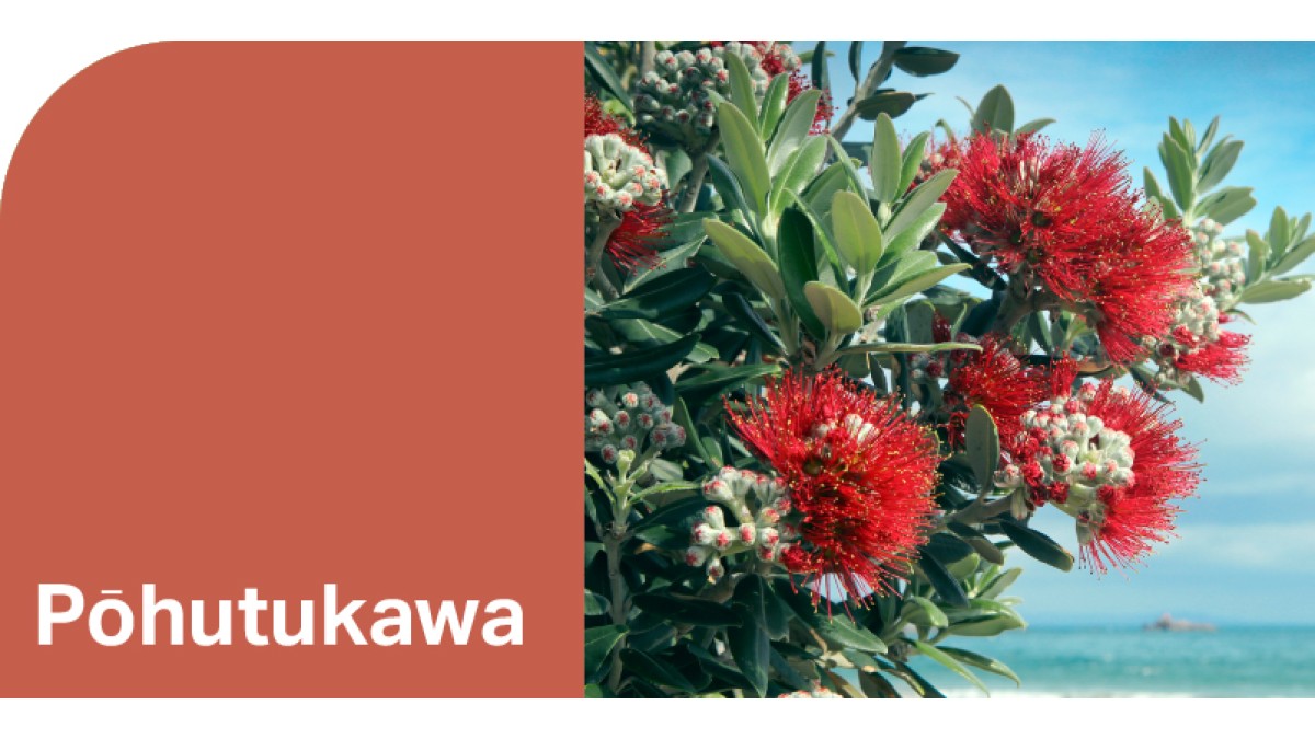 Create HPL Pohutukawa swatch