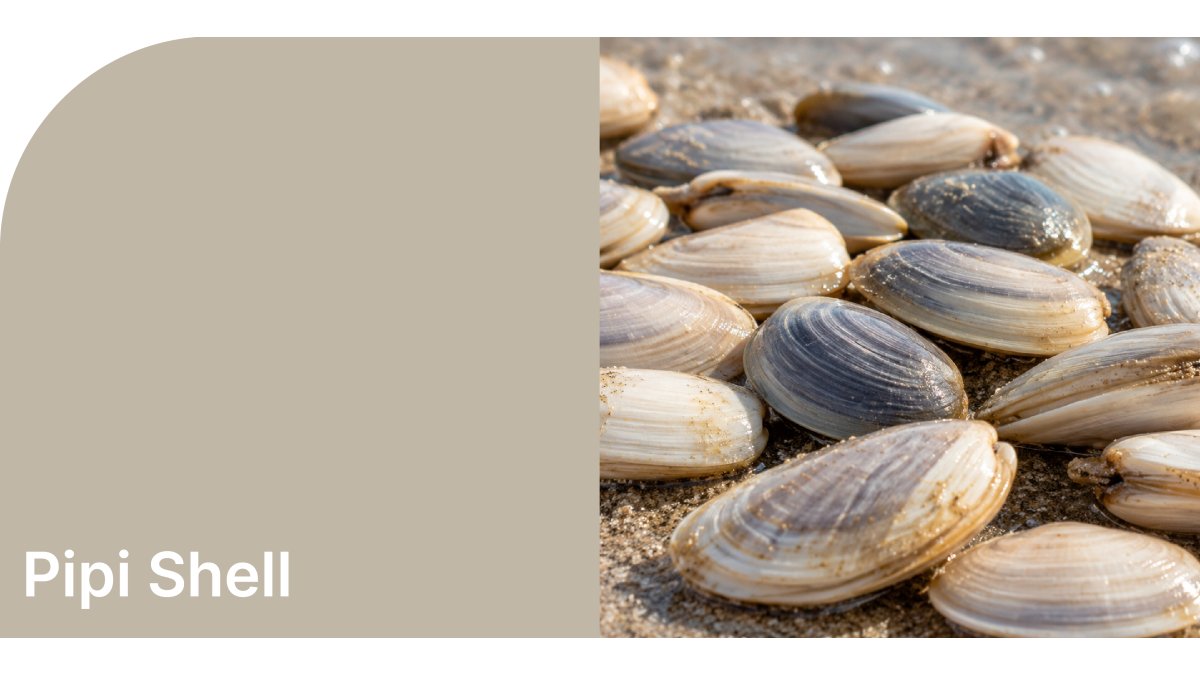 Create HPL – Pipi Shell swatch