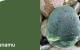 Create HPL –  Pounamu swatch