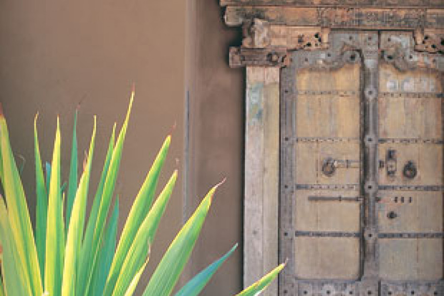 Original Lime Wash