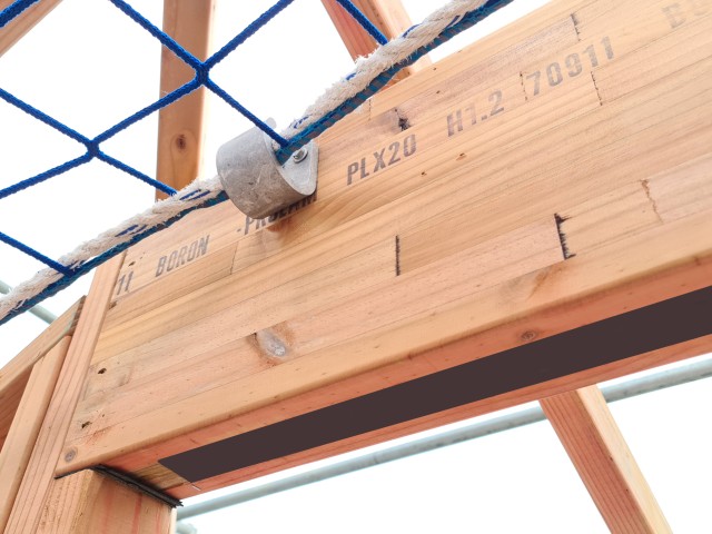 Prolam PLX20 Structural Glulam Beam