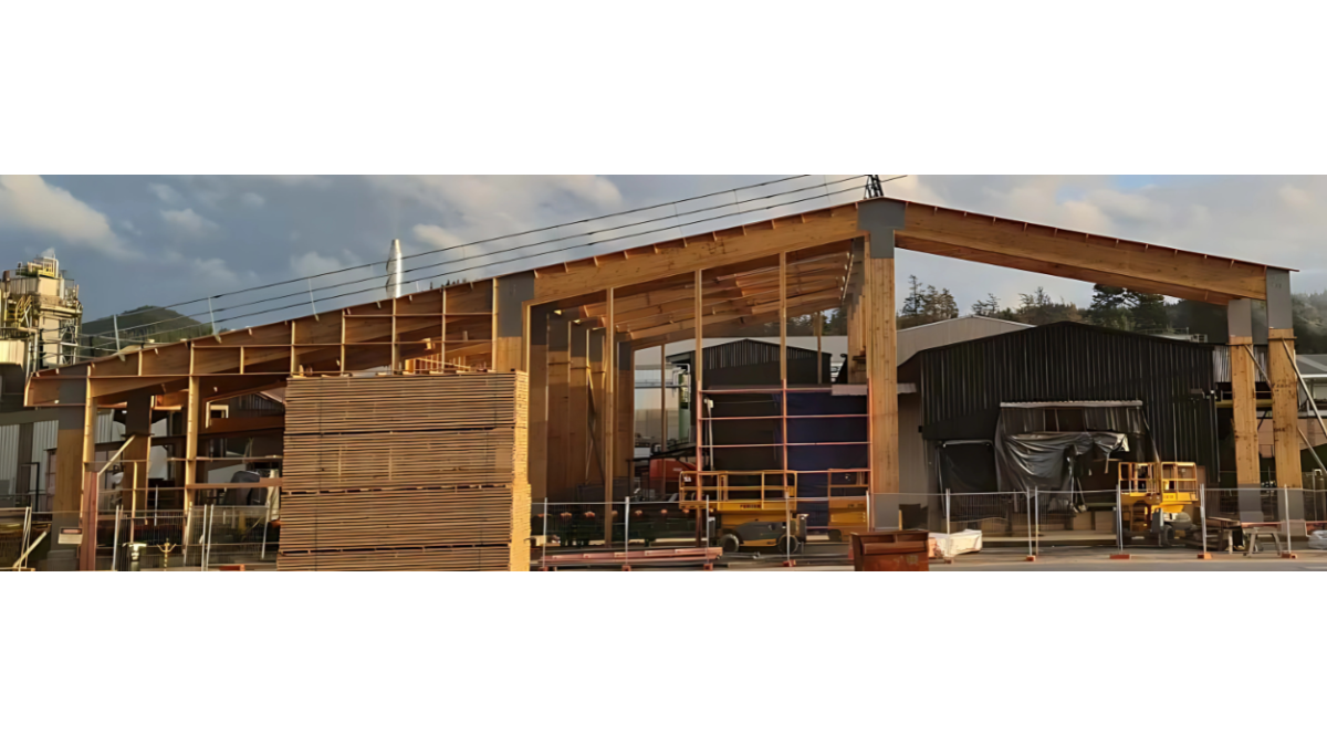 CLT Beam