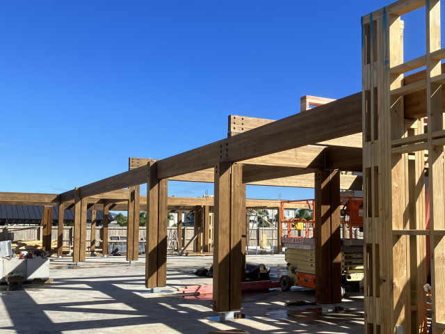 Red Stag Glulam Beams and Posts
