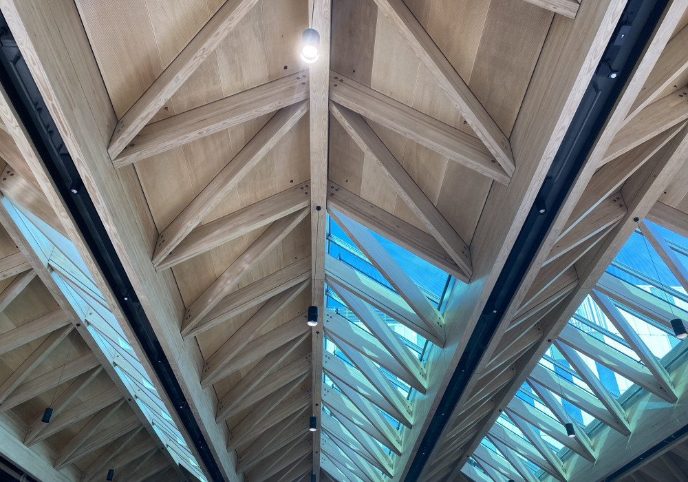 Red Stag Glulam Rafters and Struts