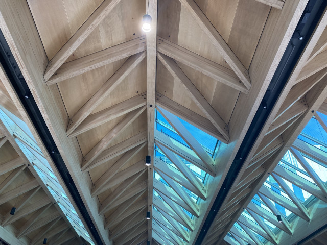 Red Stag Glulam Rafters and Struts