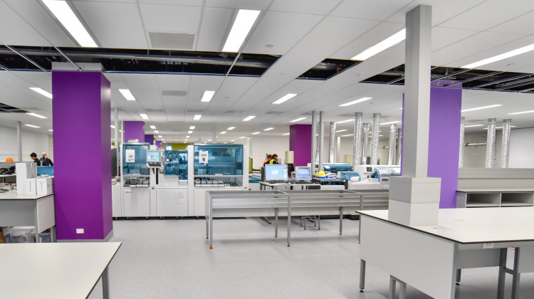 Laboratory Bench Systems