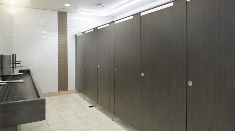 Toilet and Shower Cubicles