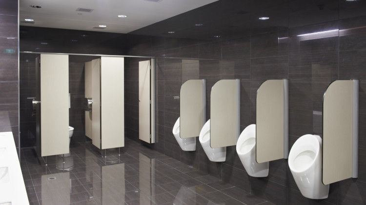 Toilet and Shower Cubicles