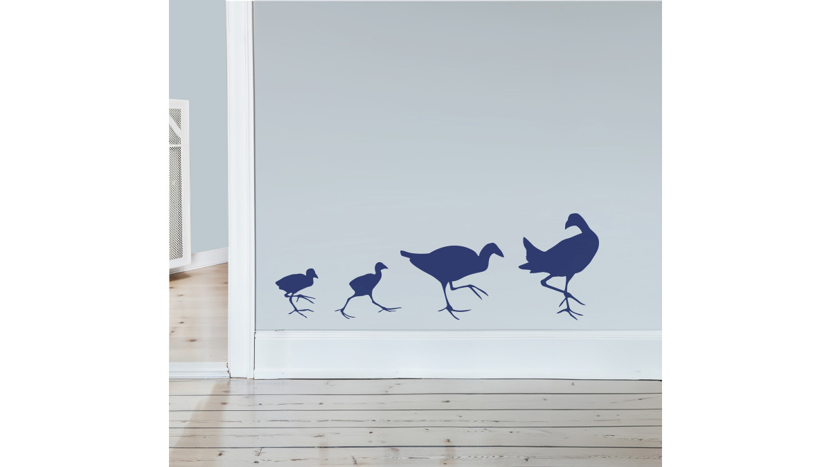 MSR Mar24 INSERT Autumn Winter P3 wall decal Pukeko ResolutionBlueSMALL