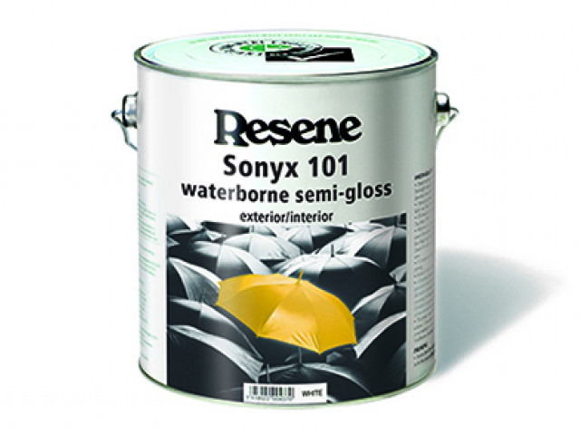 Resene Wintergrade Sonyx 101