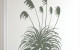 toe toe wall decal forestgree