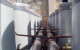 rheem equa flow
