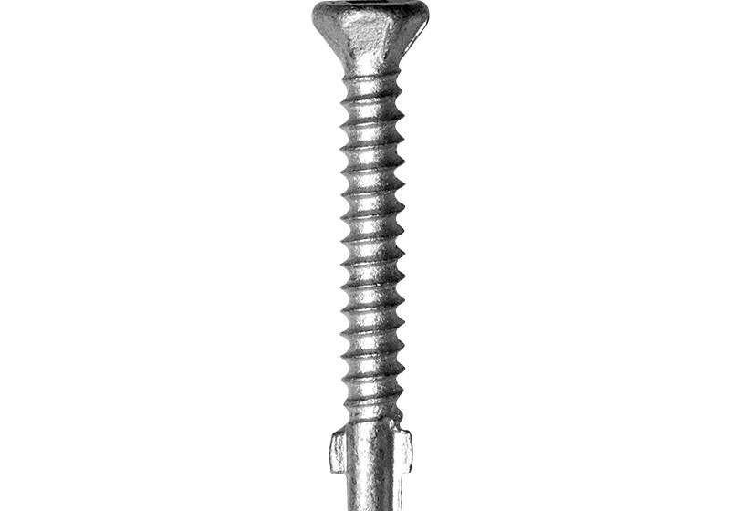 CBSDG Steel Frame Self-drilling Screw 