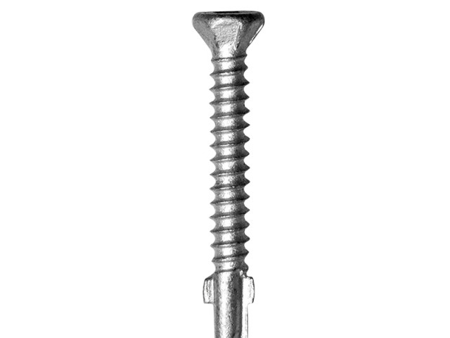 CBSDG Steel Frame Self-drilling Screw 