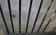 FRP Application 02