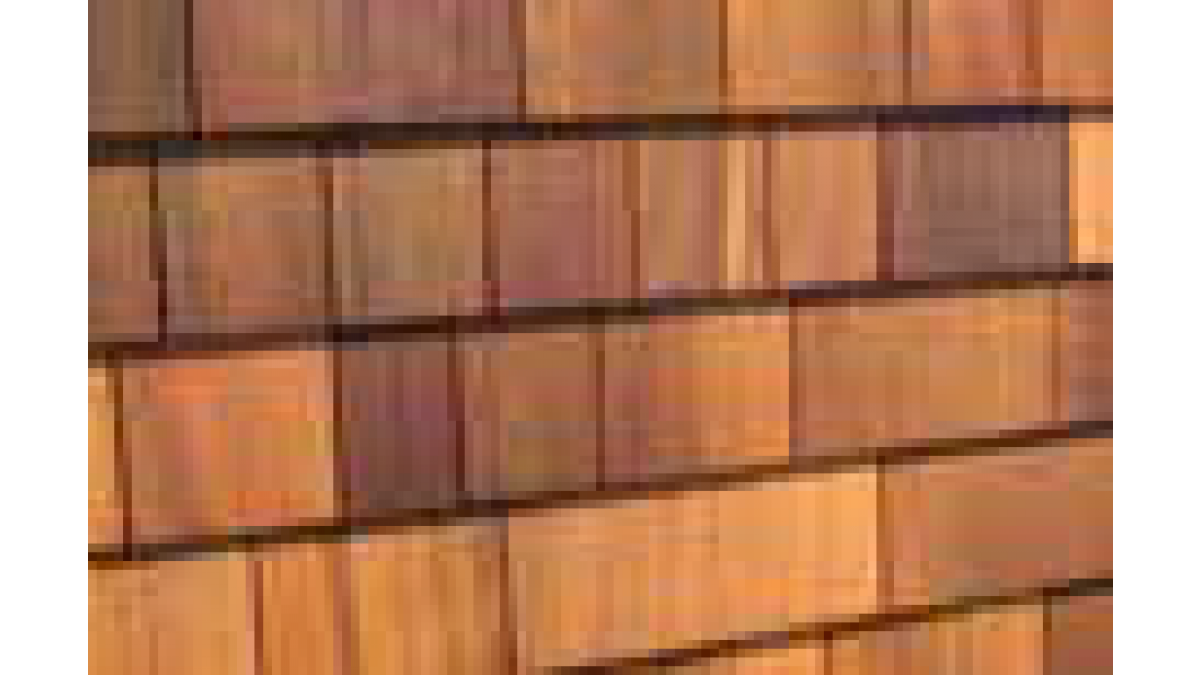 16. Western Red Cedar Shingles