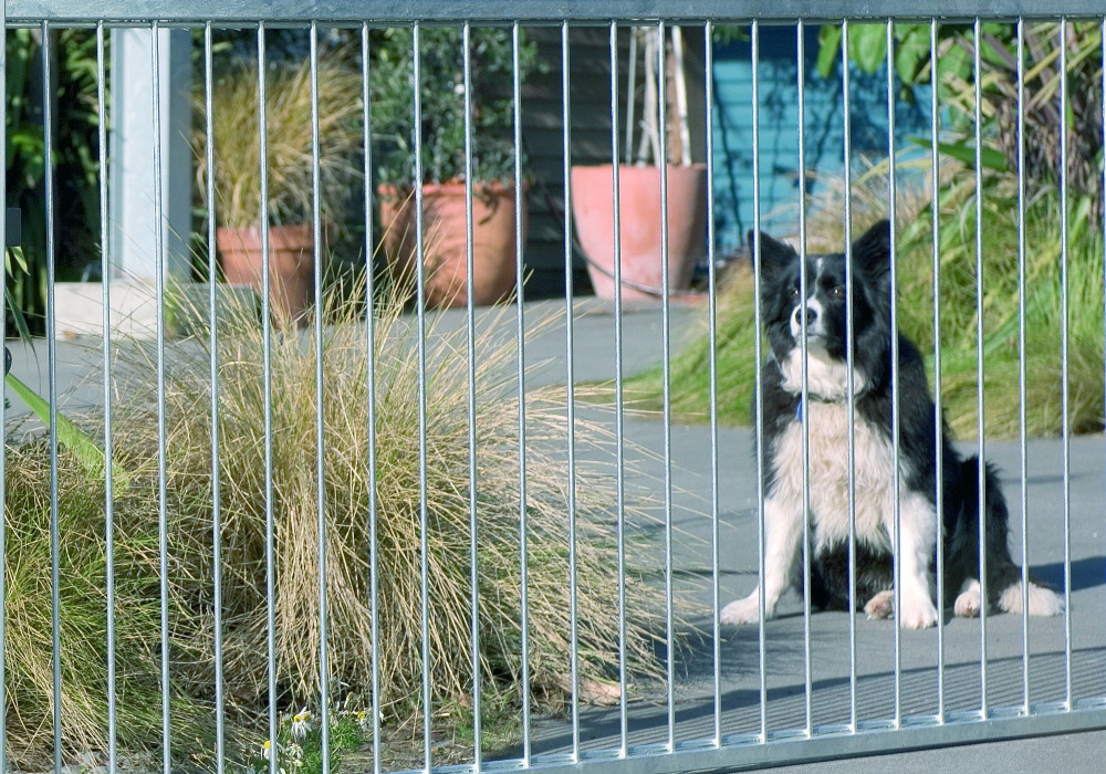 Hurricane Fencing and Gates