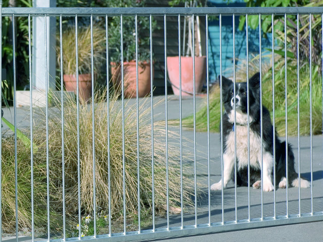 Hurricane Fencing and Gates