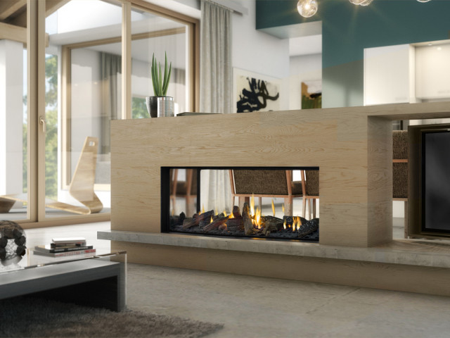 Escea DS1150 Gas Fireplace