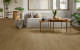 EBOSS CLASSIC OAK GROVE
