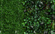 Glam Greenwall Panels A D labeled. jpg