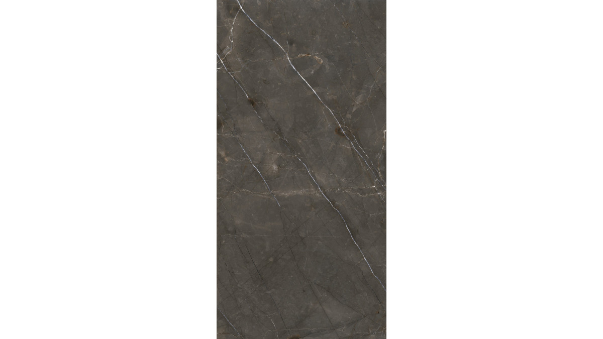 AR mc pulpis grey 12060 L f1 PL612515