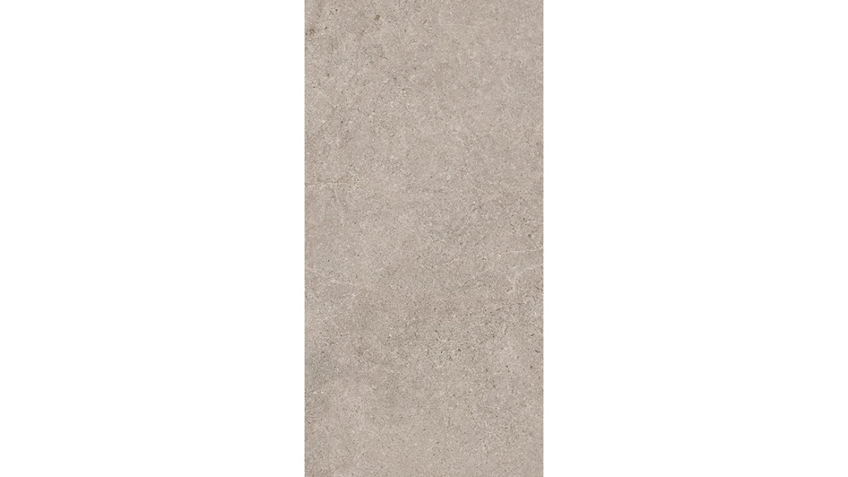 Evolution Light Grey 30x60 4