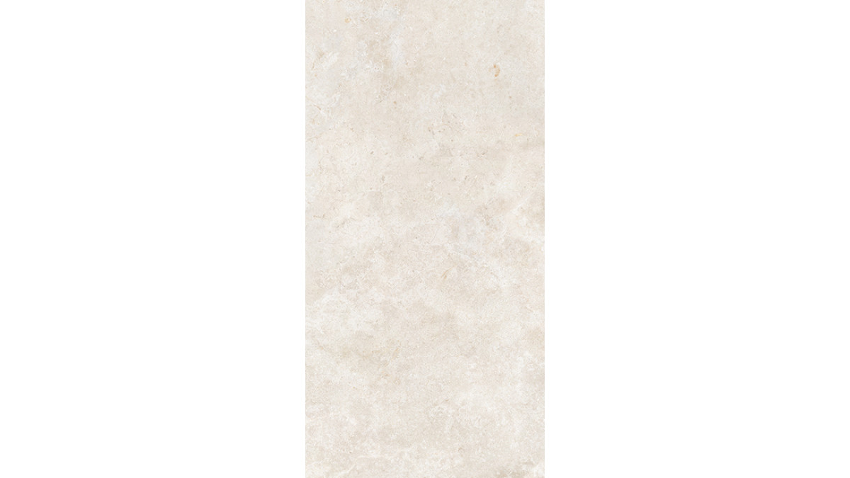 Evolution White 60x120 4
