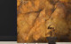 LUMINESCENCE 120x280 SPA e NEREIDI ALMOND 60x120