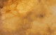 LUMINESCENCE 60x120 0000 Livello 13 (4)