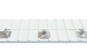 Frogline