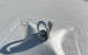 Toggle Eye Hook (002)