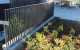 topline retaining wall