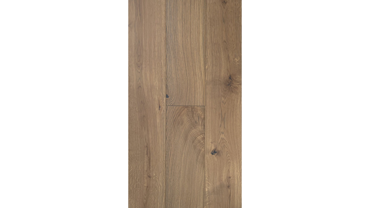 Paloma scaled