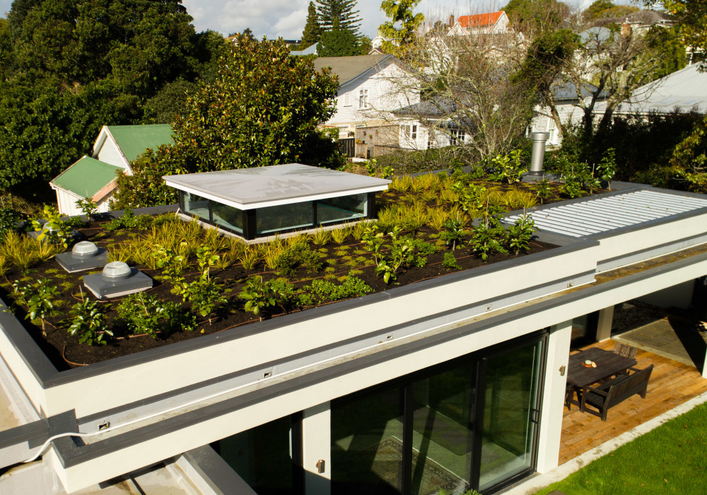 Roof Garden System
