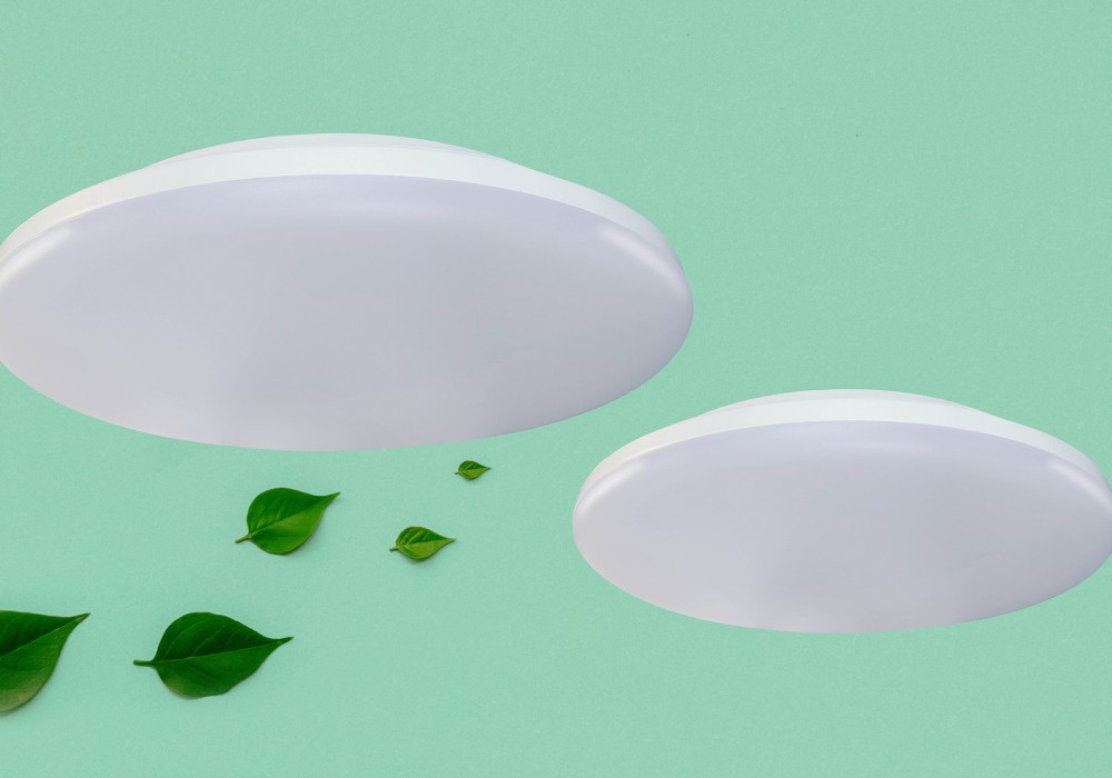 Ocean Oyster LED Light