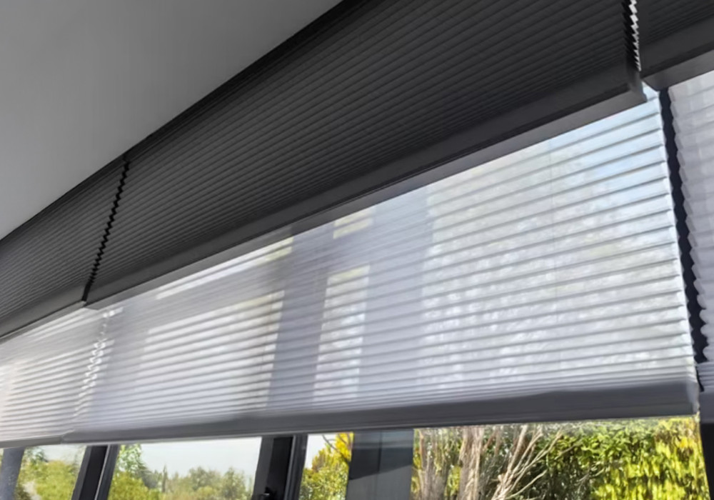 Honeycomb Pleated Blinds